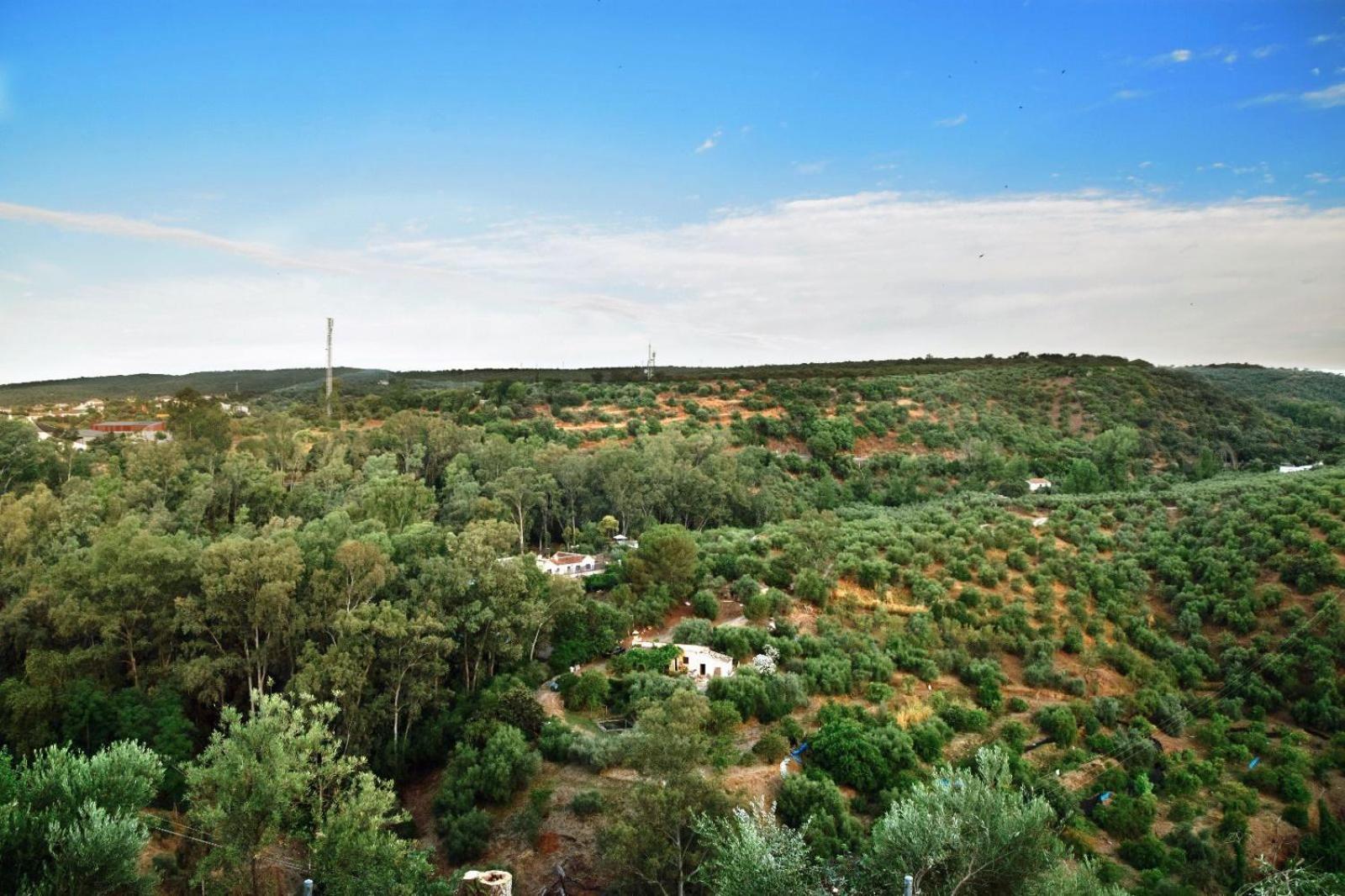 Casa Rural Mirasierra فرنجلوش المظهر الخارجي الصورة